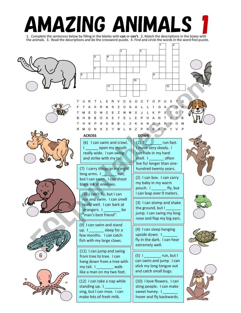 Can & Can`t fill-in blanks, Matching Quiz, Crossword Puzzle, Word Search